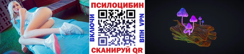 Псилоцибиновые грибы мицелий  Абакан 