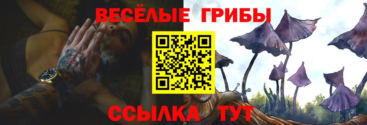 Абакан  Галлюциногенные грибы GOLDEN TEACHER  Вход с VPN 